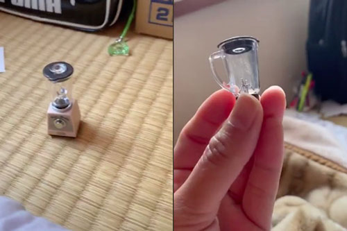 Lên mạng đặt mua máy xay sinh tố, anh chàng nhận về thứ như món đồ chơi mini