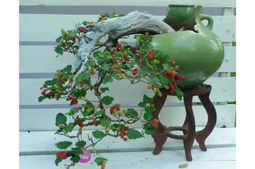 Nếu nhà bạn trồng cây này, nên thay đổi ngay