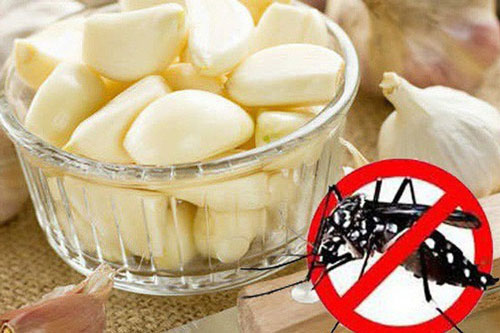 Mẹo xua đuổi muỗi trong nhà có thể bạn chưa biết