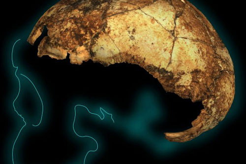 Bí ẩn về loài người khác tồn tại lâu hơn chúng ta gần 7 lần