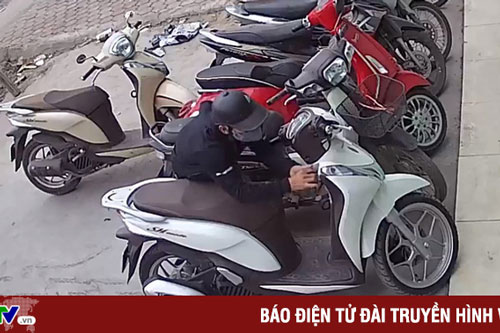 Triệt phá đường dây trộm cắp xe máy liên tỉnh