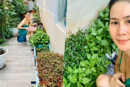 Thân Thuý Hà trồng rau sạch cạnh biệt thự