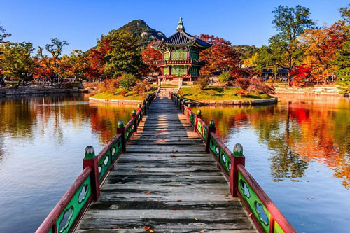 Thi ảnh đẹp dành cho du khách đã đến Hàn Quốc đến hết ngày 24/5