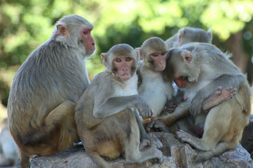 Sau Rằm tháng 4 Âm lịch, 4 tuổi này dễ gặp đại hạn, xui xẻo triền miên, hãy hóa giải kẻo hối không kịp