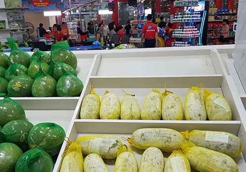 Điện Biên: Để bí xanh không bí đầu ra