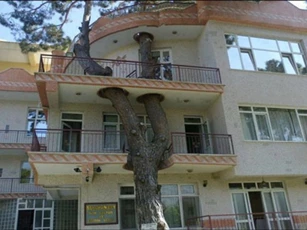 10 công trình tuyệt đẹp với thiên nhiên