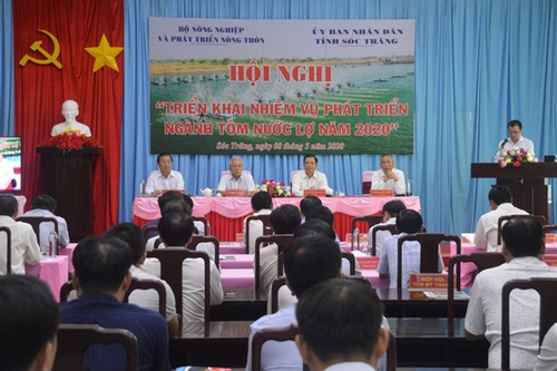 Xuất khẩu tôm sẽ khả quan hơn từ nửa cuối năm 2020