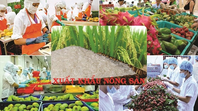 Để nông sản Việt thâm nhập thành công thị trường Ấn Độ 1,4 tỷ dân