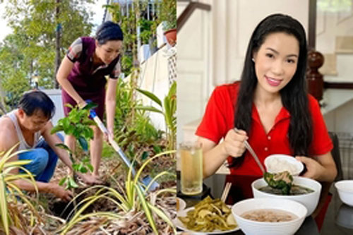 Chồng đại gia phụ Trịnh Kim Chi việc nhà