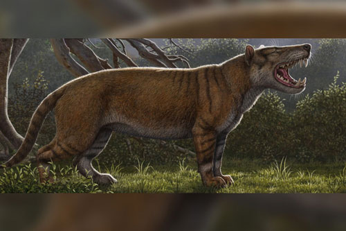 Phục dựng quái thú bí ẩn răng sói, mình sư tử, sọ như tê giác