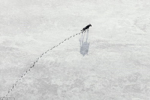 Thiên nhiên hoang dã đẹp diệu kỳ trong loạt ảnh chụp từ trên cao