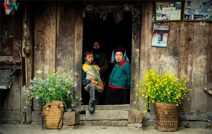 nhung mua hoa tren cao nguyen da ha giang hinh 1