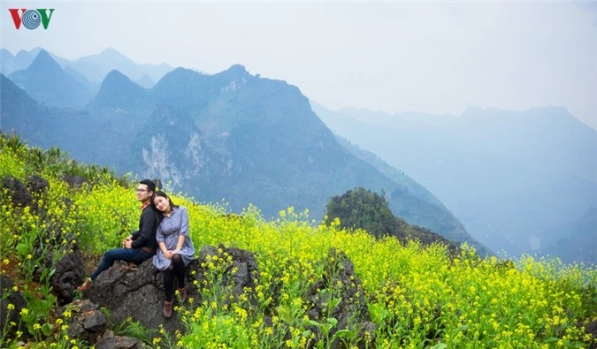 nhung mua hoa tren cao nguyen da ha giang hinh 8