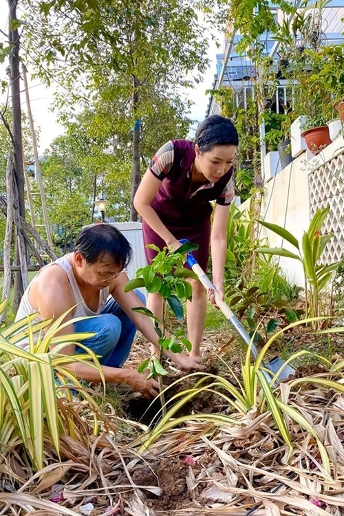 Gia đình Trịnh Kim Chi hiện sinh sống trong một biệt thự ở quận 7, TP HCM. Ngôi nhà có vườn rộng nên vợ chồng cô trồng nhiều loại hoa, cây ăn trái. Chiều 6/5, doanh nhân Trần Phương miệt mài phụ bà xã trồng nhiều loại cây mới. Anh đảm nhận việc xới đất, bón phân...