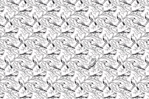 Bạn có đủ tinh mắt để tìm ra con ếch trong bức tranh?