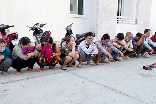 An Giang: B&#x1EAF;t s&#x1EDB;i b&#x1EA1;c thu&#xEA; ng&#x1B0;&#x1EDD;i canh nhi&#x1EC1;u l&#x1EDB;p, thu gi&#x1EEF; g&#x1EA7;n 100 tri&#x1EC7;u &#x111;&#x1ED3;ng