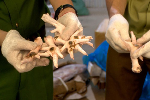 Hà Nội: Khám phá thủ đoạn “ẩn giấu” 6 tấn thực phẩm bẩn trong kho lạnh ở Hà Nội