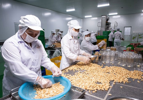 Xuất khẩu nông sản hậu Covid-19: Vẫn khó trăm bề