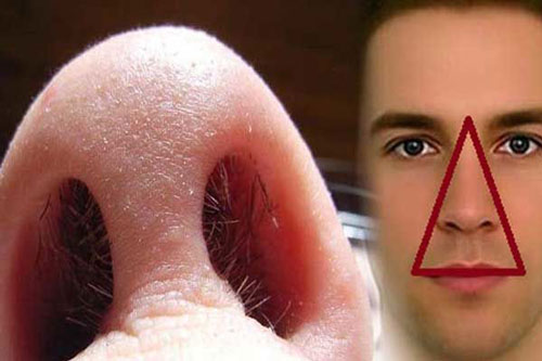 Nhổ lông mũi thường xuyên là có hại hay vô hại? Câu trả lời không phải ai cũng biết