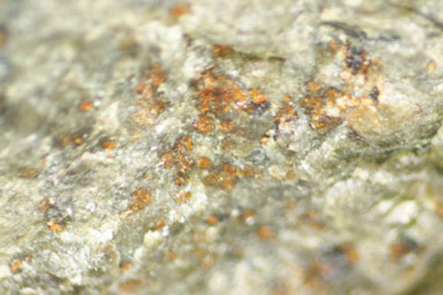  Dấu vết sự sống trong "khối đá hành tinh" bên cạnh "gửi" Trái Đất