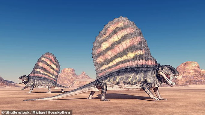 Pelycosaurs, loài bò sát được cho là tổ tiên của động vật có vú hiện đại - Ảnh: MICHAEL ROSSKOTHEN