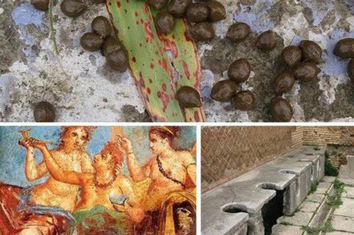 Những sự thật khó tin về cuộc sống của người La Mã cổ: Đánh răng bằng nước tiểu, ăn no quá nôn luôn tại bàn