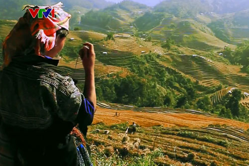 Phát động chương trình “Người Việt Nam đi du lịch Việt Nam”