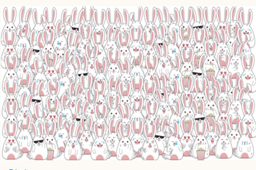 Đố bạn tìm ra con chuột Hamster trong bức tranh