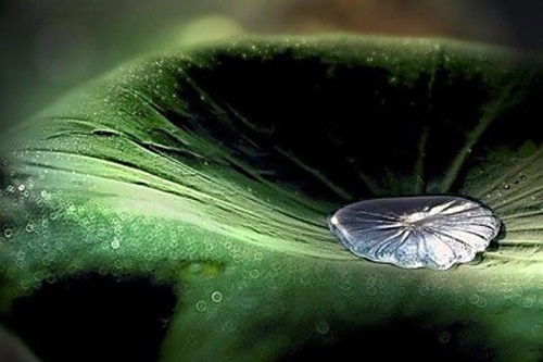 Mải mê chạy theo vật chất nhưng suy cho cùng nó cũng chỉ là phù du