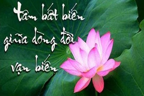 Cảnh giới cao nhất của nhân sinh chính là ở 'độ tĩnh của tâm'