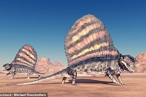 Sốc: Thai nhi con người mang cơ bắp bò sát cổ đại