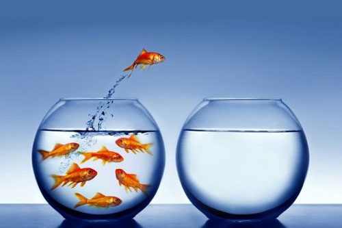 Đời dễ phất lên nhanh chóng nếu sớm biết 3 điều này