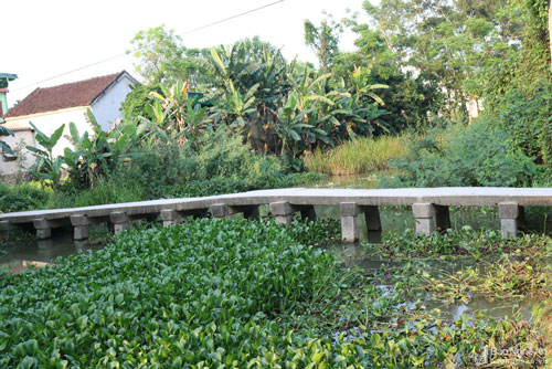 Cận cảnh cây cầu đá trăm tuổi 'có 1 không 2' ở Nghệ An