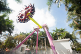 Công viên Thiên đường Bảo Sơn mở cửa và hoạt động trở lại 