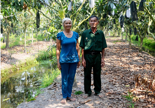 An Giang: Mô hình trồng rừng kết hợp làm vườn và chăn nuôi mang lại hiệu quả kinh tế cao