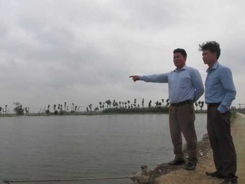 Hải Dương: Làm giàu từ mô hình trang trại cá