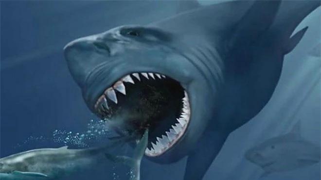 Cá mập lớn nhất thế giới bị tuyệt chủng vì… kén ăn - 1