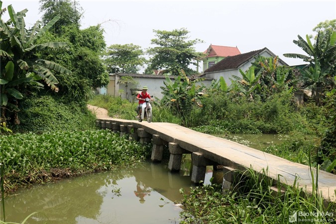 Cận cảnh cây cầu đá trăm tuổi 'có 1 không 2' ở Nghệ An