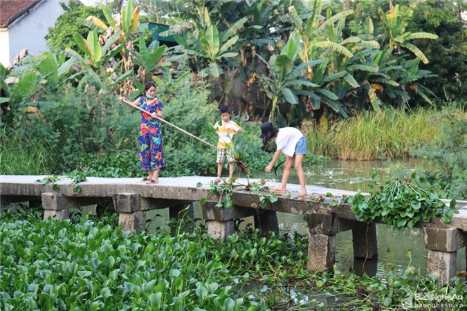 Cận cảnh cây cầu đá trăm tuổi 'có 1 không 2' ở Nghệ An
