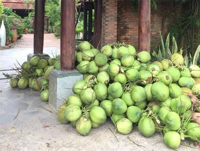 Chiêm ngưỡng ngôi nhà cổ tuyệt đẹp, rộng thẳng cánh cò bay ở Long An - 9