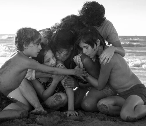 Roma (2018): Tuy không giành giải Oscar cho Phim truyện xuất sắc hồi đầu 2019, nhưng Roma của Alfonso Cuarón vẫn được giới chuyên môn đánh giá rất cao. Lấy bối cảnh Mexico City và cảm hứng từ chính cuộc đời nhà làm phim, tác phẩm là câu chuyện về Cleo - một phụ nữ làm thuê cho một gia đình giàu có tại thành phố thủ đô Mexico. Mọi chuyện bất ngờ đảo lộn khi người cha trong gia đình ấy bỏ theo tình mới, còn bản thân Cleo có thai ngoài ý muốn. Các tình tiết Roma giống như những tia lửa nhỏ, rồi tất cả chợt bùng lên ở gần cuối và khiến cảm xúc người xem dâng trào.