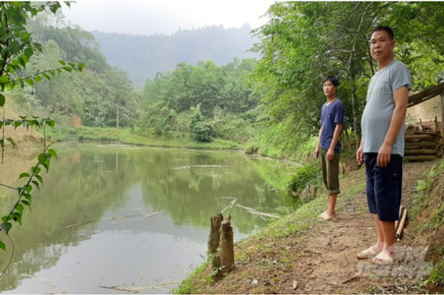 Bắc Kạn: Làm giàu từ mô hình “nuôi cá trong rừng”