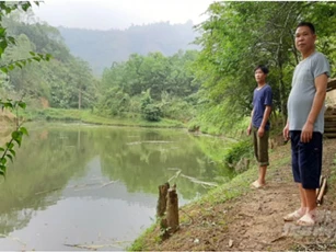 Bắc Kạn: Làm giàu từ mô hình “nuôi cá trong rừng”
