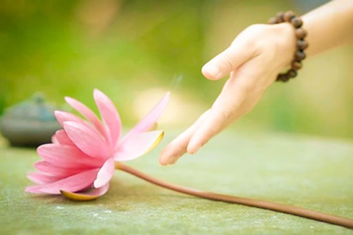 Sống là để ‘yêu thương’ đừng vô tri như một cỗ máy?