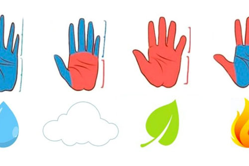 Trắc nghiệm: Đặc điểm bàn tay tiết lộ một phần tính cách của bạn