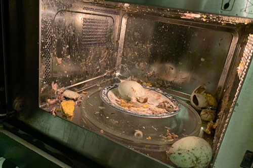 Thấy em dâu kêu đói, chị dâu cho luôn trứng vịt lộn vào lò vi sóng và nhận ngay cái kết "tanh bành"