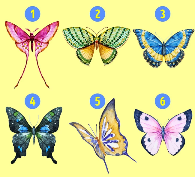Bạn chọn bướm màu gì?