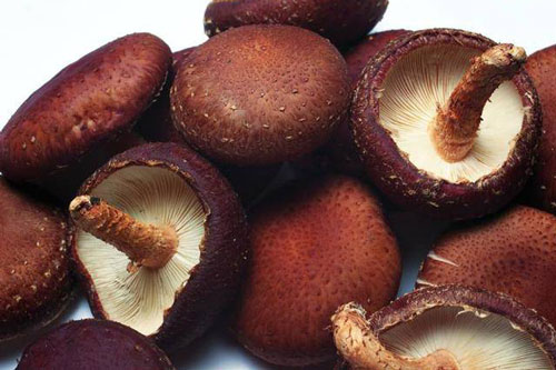 Khi chọn nấm hương tươi, thấy 5 dấu hiệu này tốt nhất đừng mua về nhà