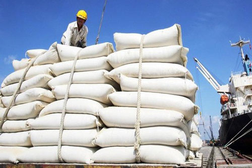 Giá gạo Việt Nam xuất khẩu cao chót vót