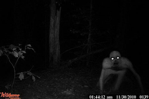 Những sinh vật kỳ bí từng bị con người tình cờ quay được